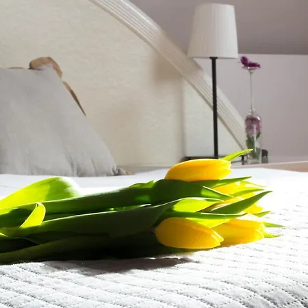 The Spiski Palace 公寓 克拉科夫