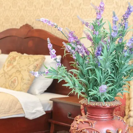 Apartment The Spiski Palace *