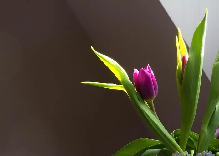 アパート The Spiski Palace